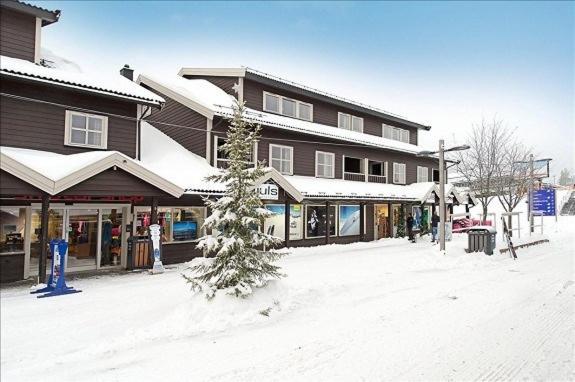 Skitorget Apartments トリシル エクステリア 写真